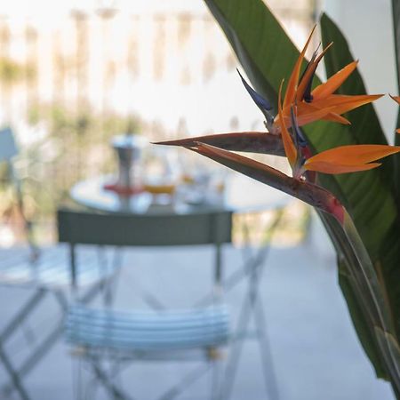 La Strelitzia Cervo Mare Apartment Екстериор снимка