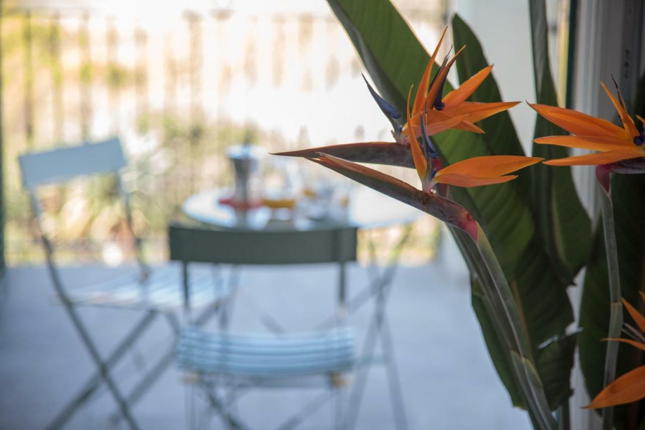 La Strelitzia Cervo Mare Apartment Екстериор снимка