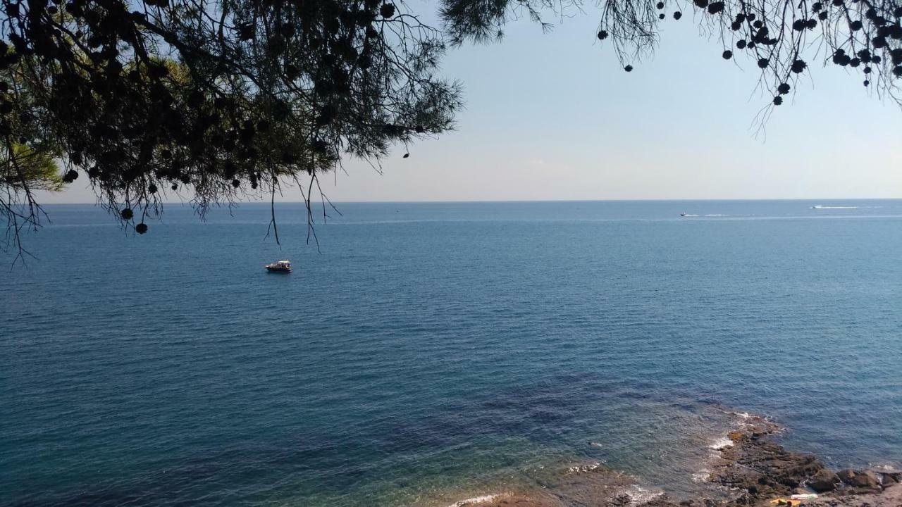 La Strelitzia Cervo Mare Apartment Екстериор снимка